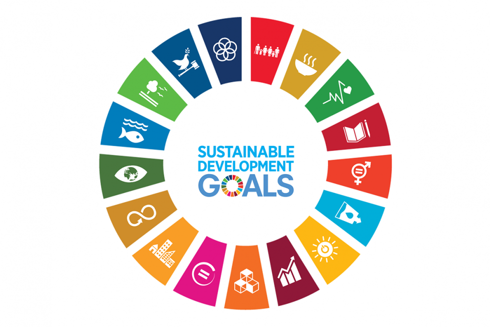 Using UN’s SDGs as a small business